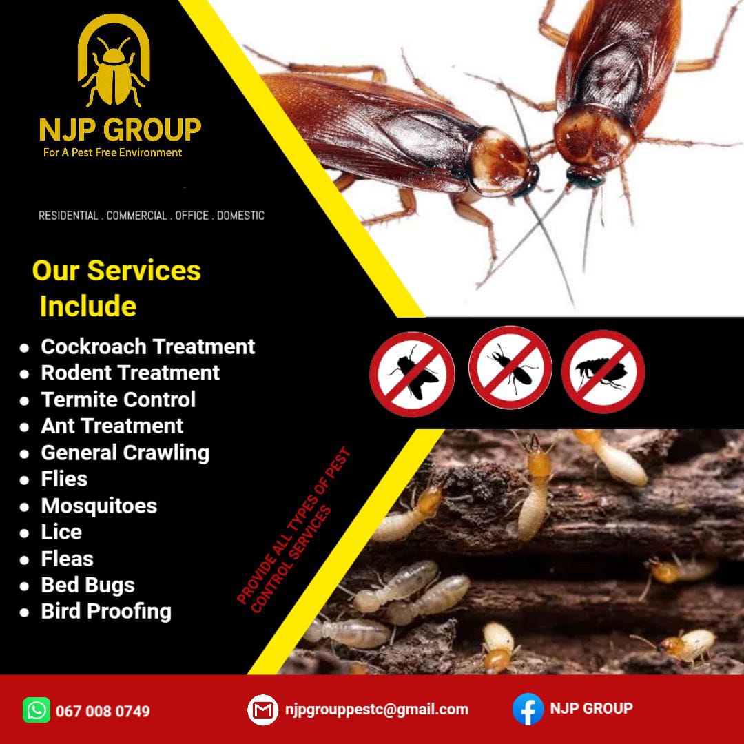 NJP Group Official Flyer